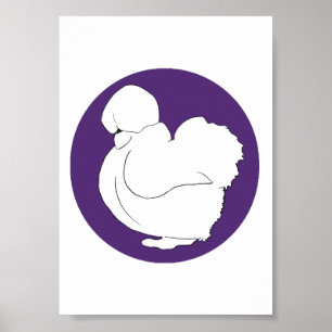 Silkie Poster
