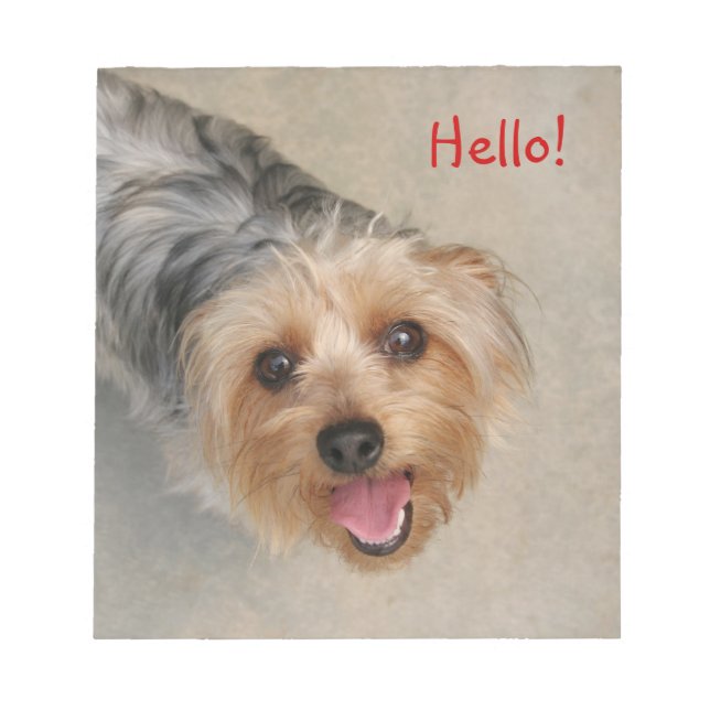 Silkie terrier notepad (Front)