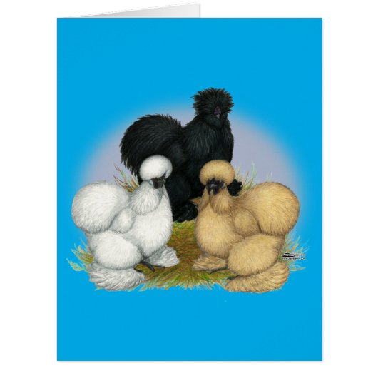 Silkie Trio (Front)