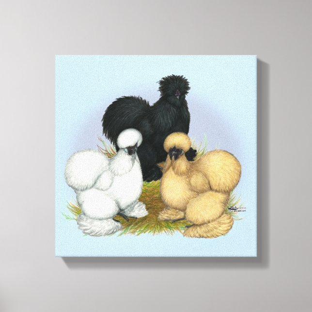Silkie Trio Canvas Print (Front)
