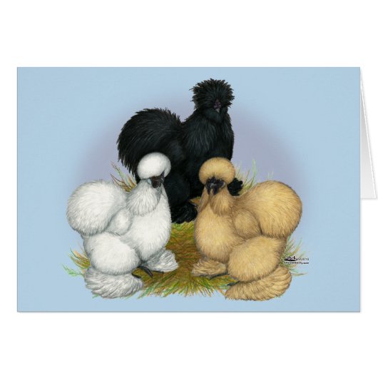 Silkie Trio Cards (Front Horizontal)