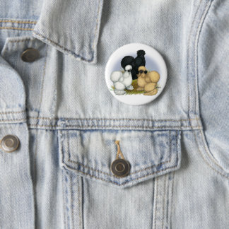 Silkie Trio Pinback Button