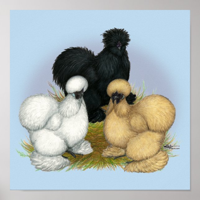 Silkie Trio Poster (Front)