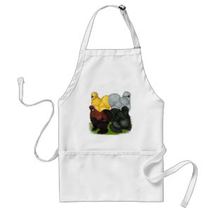 Silkies: Assorted Roosters Adult Apron