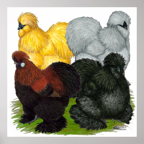 Silkies  Assorted Roosters Poster