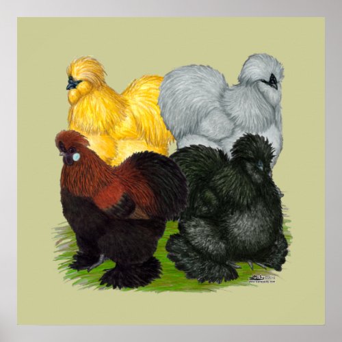 Silkies  Assorted Roosters Poster