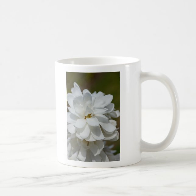 Silky Magnolia Coffee Mug (Right)