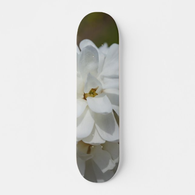 Silky Magnolia Skateboard (Front)