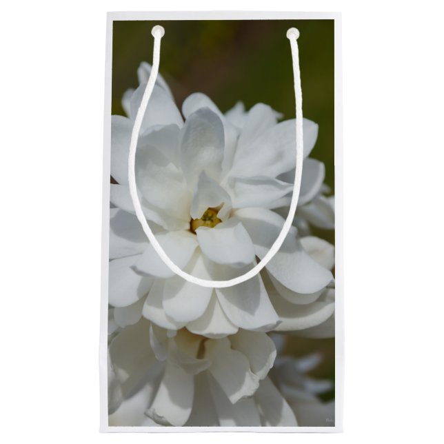 Silky Magnolia Small Gift Bag (Front)