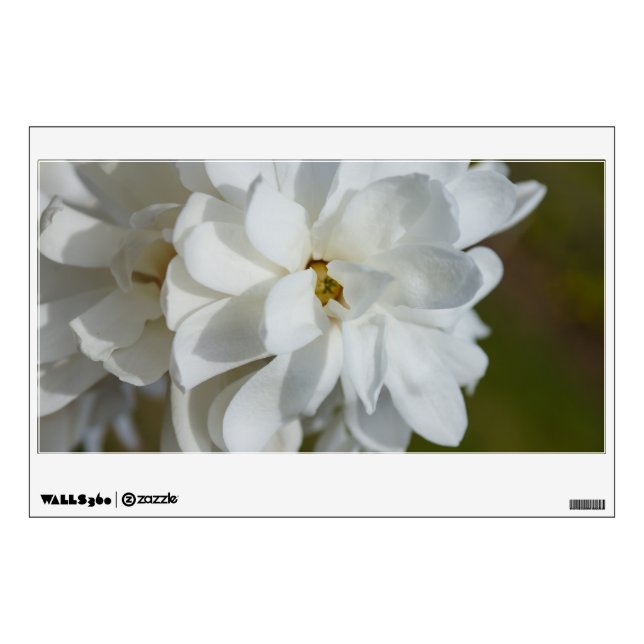 Silky Magnolia Wall Decal (Front)