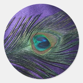 Silky Purple Peacock Feather Classic Round Sticker by Peacocks at Zazzle