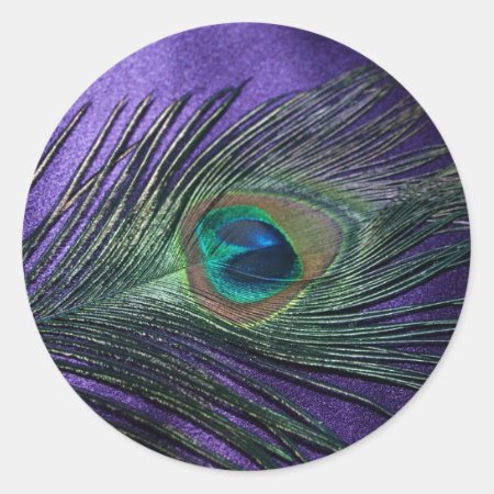 Silky Purple Peacock Feather Classic Round Sticker