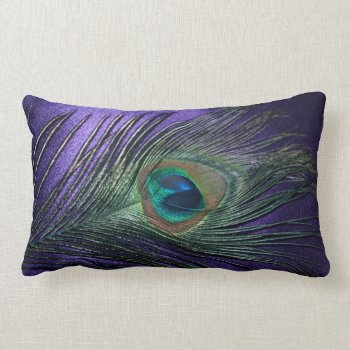 Silky Purple Peacock Feather Lumbar Pillow by Peacocks at Zazzle