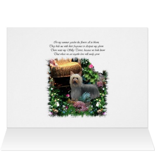 Silky Terrier Art Gifts (Inside Horizontal (Top))