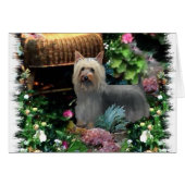 Silky Terrier Art Gifts (Front Horizontal)