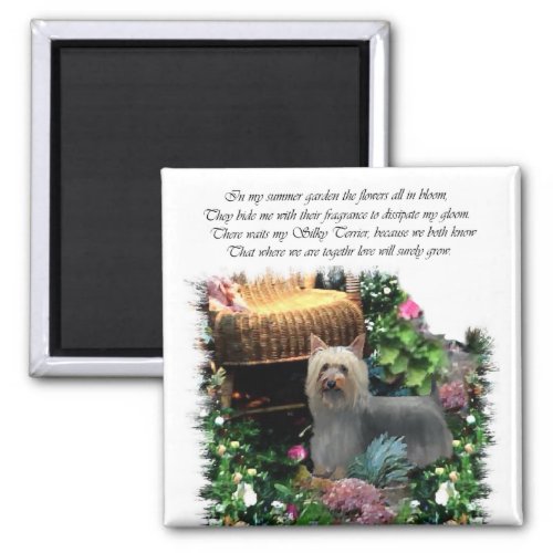 Silky Terrier Art Gifts Magnet