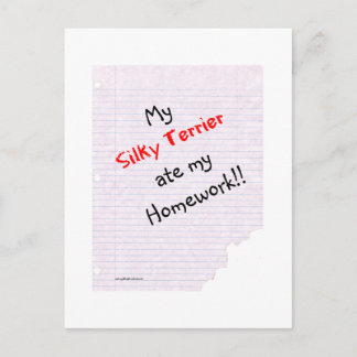 Silky Terrier Ate my Homework Postcard