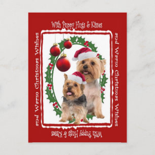 Silky Terrier Christmas Hugs and Kisses Postcard