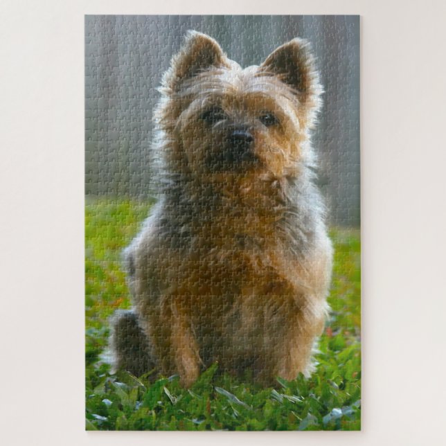 Silky Terrier Dog Jigsaws. Jigsaw Puzzle (Vertical)