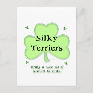 Silky Terrier Heaven, St Patrick's day Terrier Postcard
