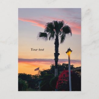 Sillouettes of Palm and Flag at sunset