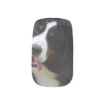 Silly Bernese Mountain Dog Minx Nail Wraps
