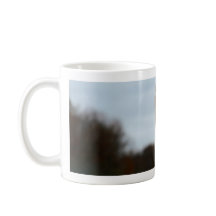 Silly Bird Photo | Ostrich Face Wildlife Photo