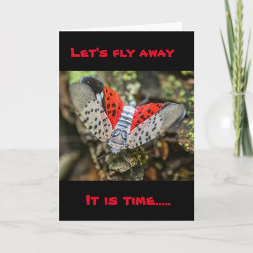 SILLY BUG SAYS LETS FLY AWAY CELEBRATE YOU CARD