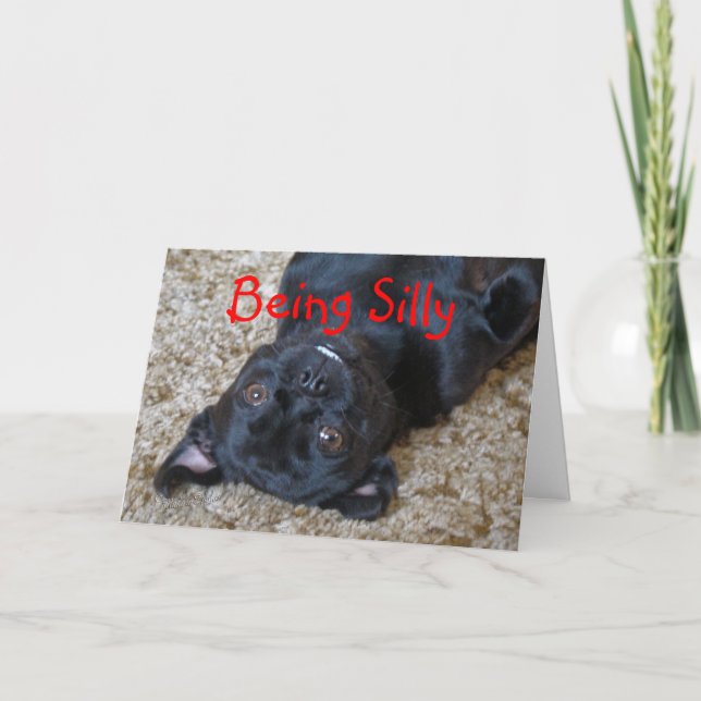 Silly Buggs dog, customize any occasion Card (Front)