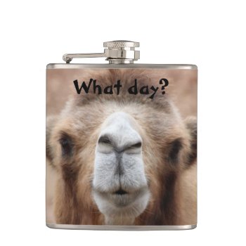 Silly Camel Photo (customize) Flask by Scotts_Barn at Zazzle