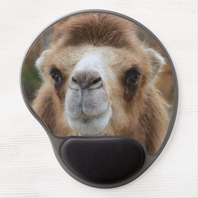 Silly Camel Photo Gel Mouse Pad (Front)
