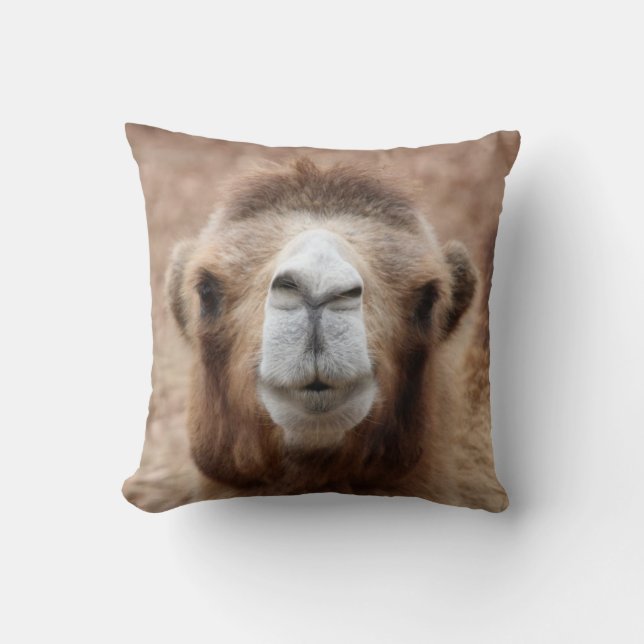 Silly Camel Photo Throw Pillow (Front)