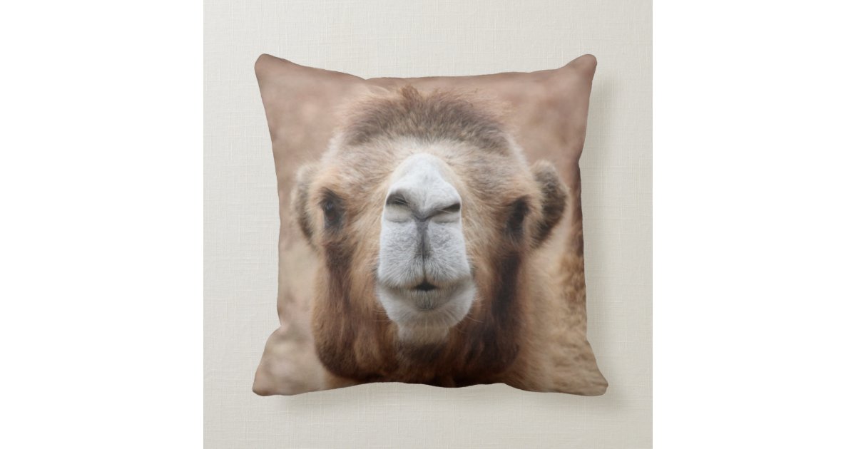 Silly Camel Photo Throw Pillow | Zazzle.com