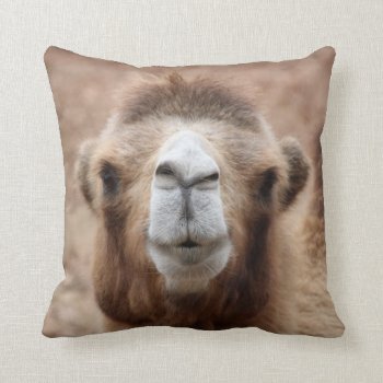 Silly Camel Photo Throw Pillow by Scotts_Barn at Zazzle