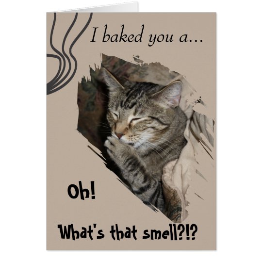Silly Cat birthday card | Zazzle