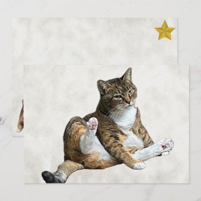 Silly Cat Pose - Annie's Flat Greeting Card (Front/Back)