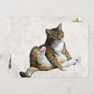 Silly Cat Pose - Annie's Flat Greeting Card