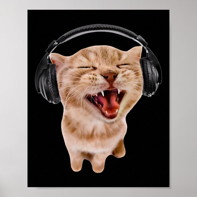 Silly Cat With Headphones  Poster (Front)