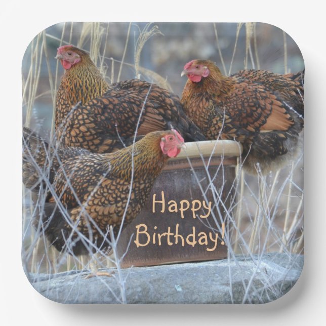 Silly Chickens Birthday Paper Plates (Front)