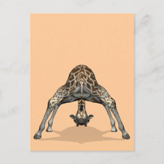 Silly Childish Flexible Giraffe Postcard