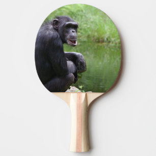Silly Chimpanzee Ping-Pong Paddle