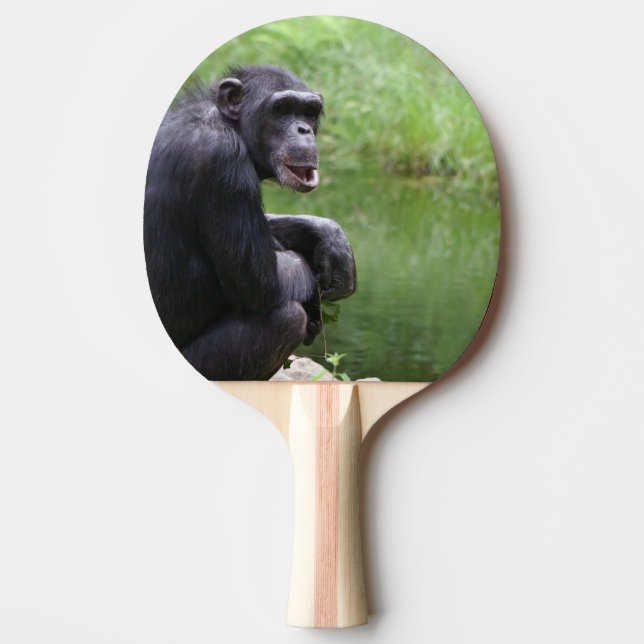 Silly Chimpanzee Ping-Pong Paddle (Front)