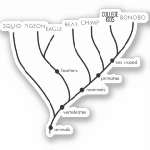 Silly Cladogram 3" x 3" Vinyl Stickers