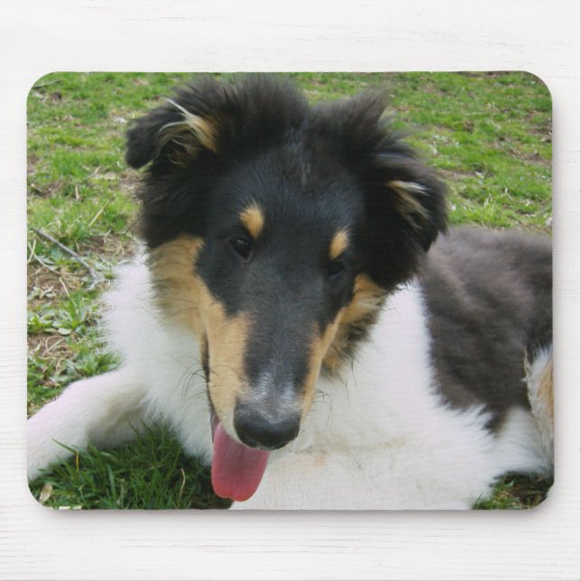Silly Collie pup Mouse Pad (Front)