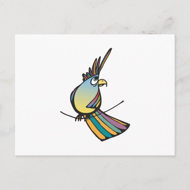 silly colorful parrot postcard (Front)