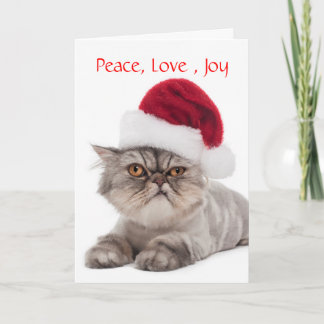 Silly Cranky Cat with Santa Hat Christmas card