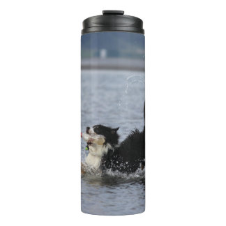 Silly dog in water, tumbler, personalize thermal tumbler