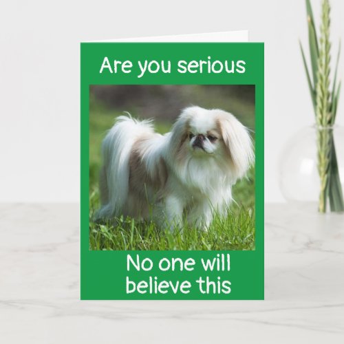 SILLY DOG SAYS CONGRATULATIONS ON YOUR NEW JOB CARD