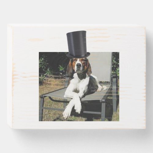 Silly dog with top hat  wooden box sign
