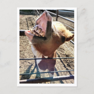 Silly Face Postcard